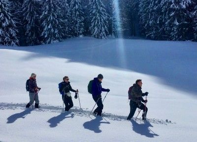 Snowshoe mindful